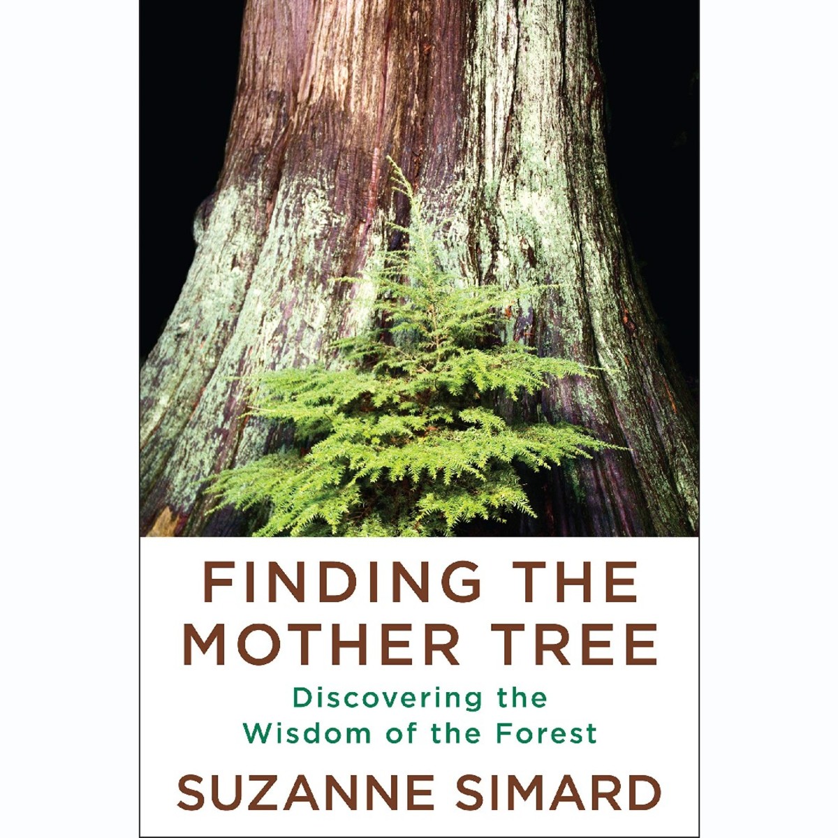 Finding the Mother Tree: Discovering the Wisdom of the Forest by Suzanne Simard