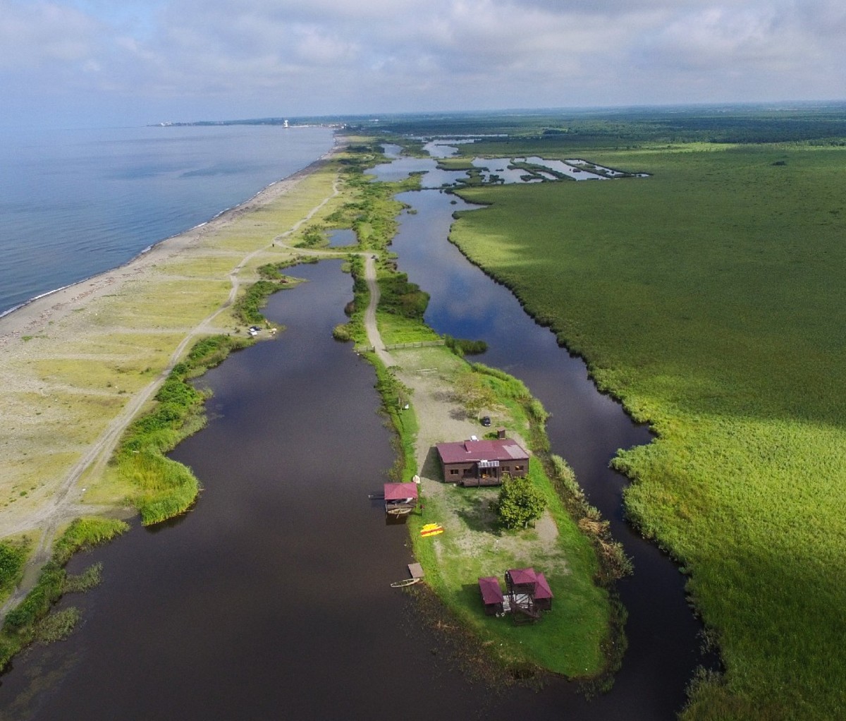 The coast of the Colchic Rainforests and Wetlands in Georgia.