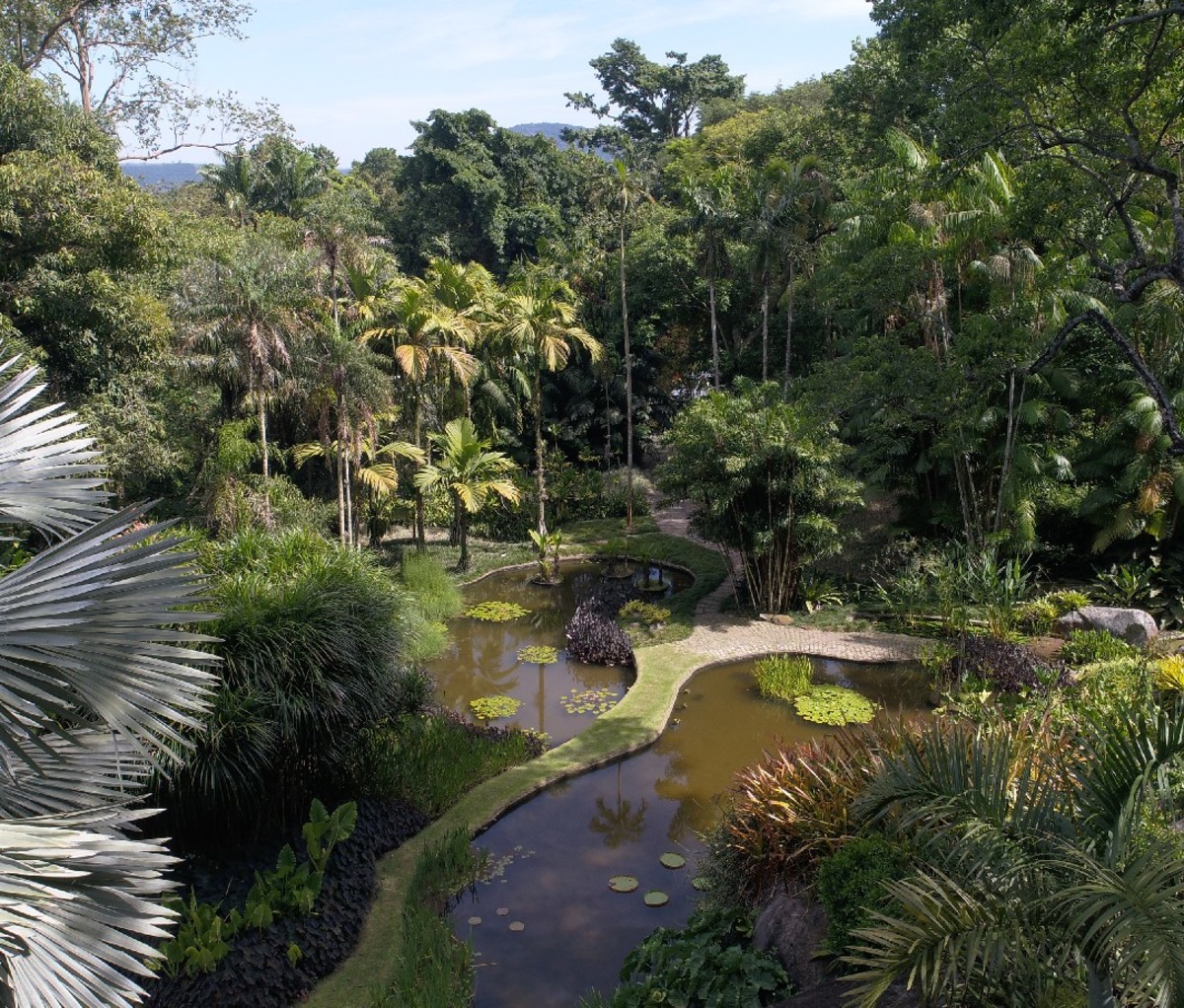 The gardens at Brazil's Sítio Roberto Burle Marx.