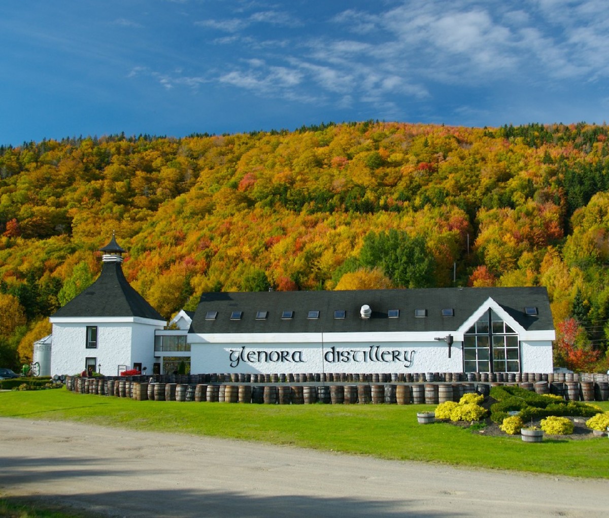 The Glenora Distillery, a long white building surrounded by barrels, with a hill covered with fall foliage in the background.
