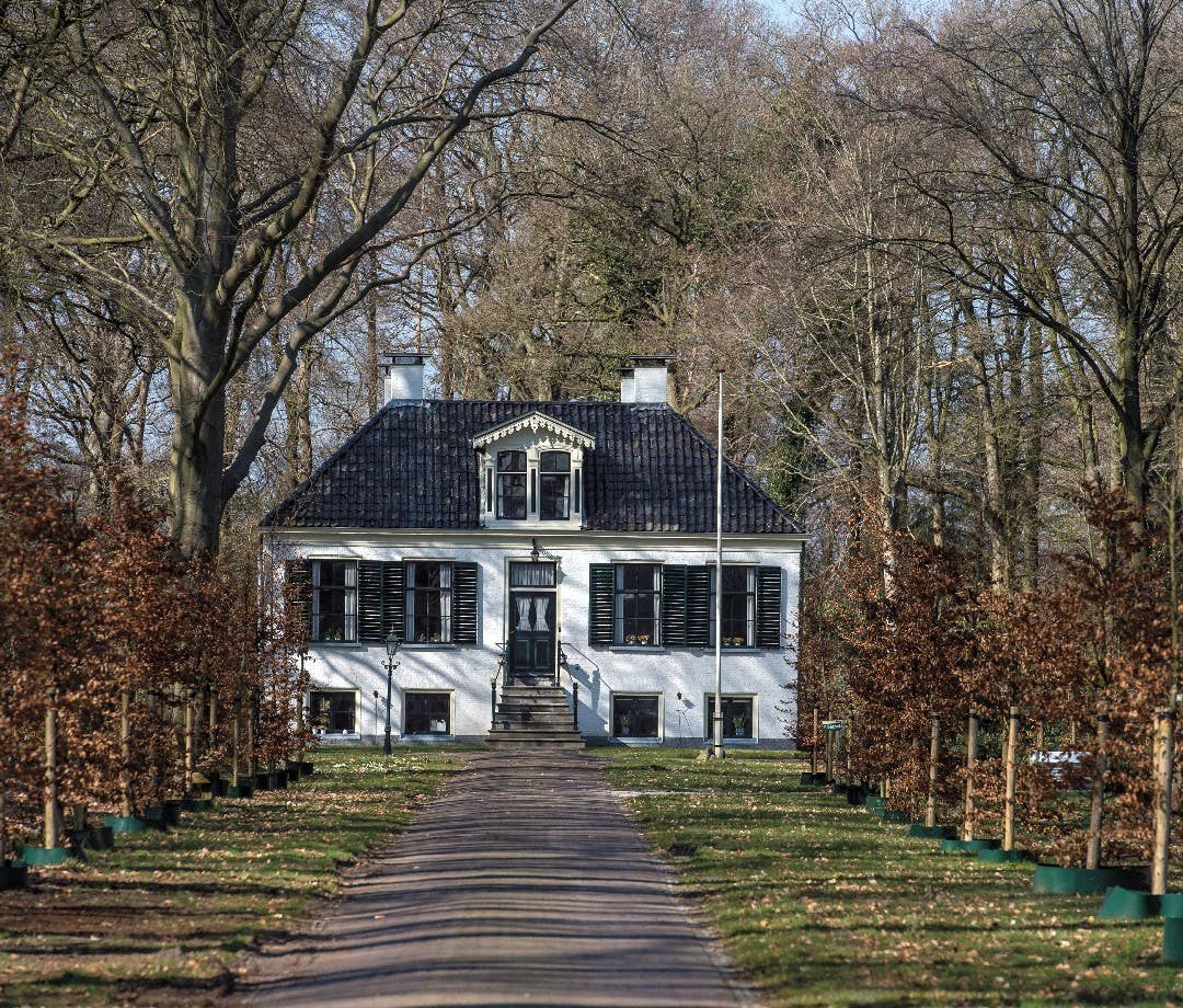 A tree-lined road leading to a Colonies of Benevolence building.
