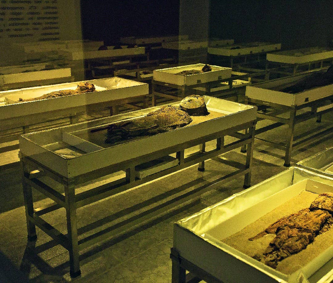 Mummies created by the Chinchorro culture of Chile.