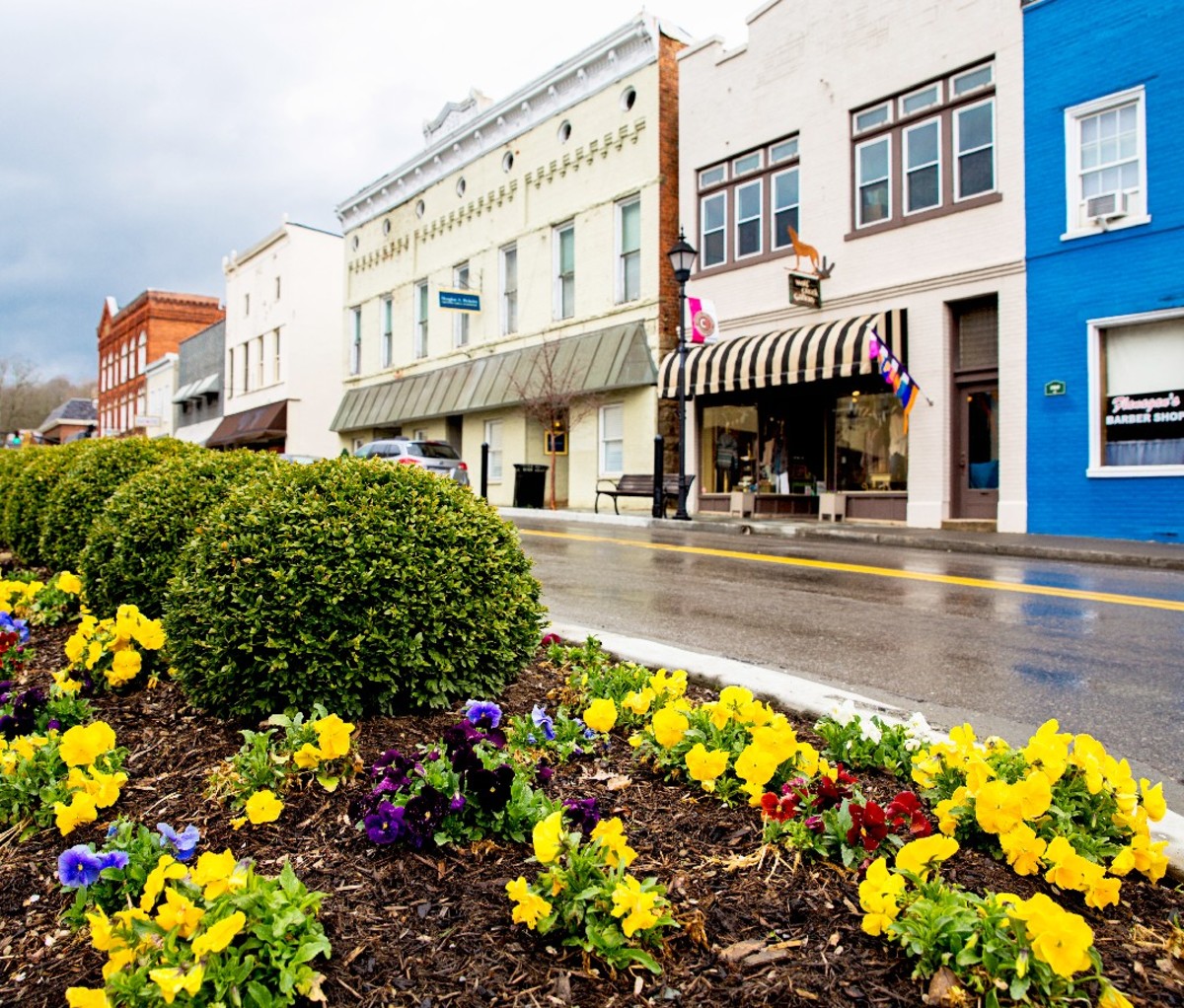 A view of the main street of Lewisburg, West Virginia. Flowers are in the foreground and local businesses line the street.