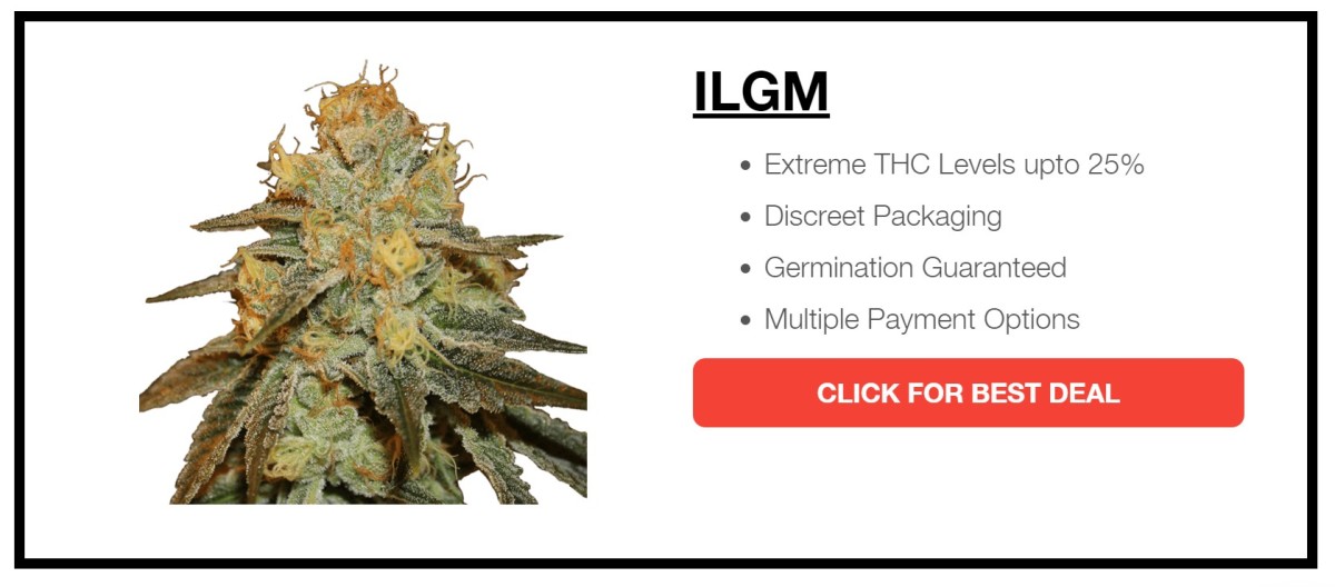 Buy premium cannabis seeds