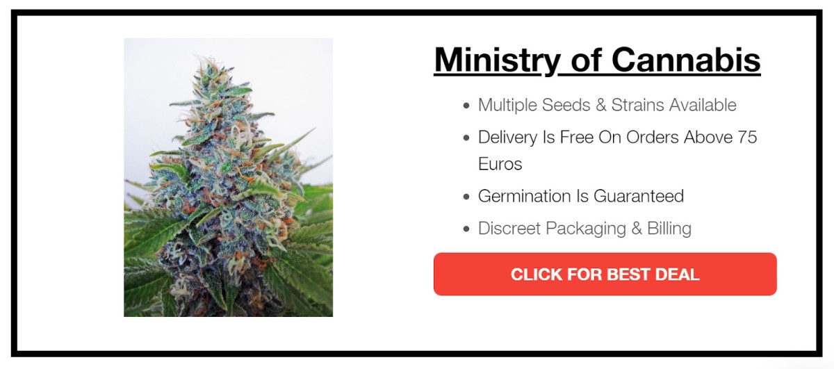 An ad for Ministry of Cannabis.