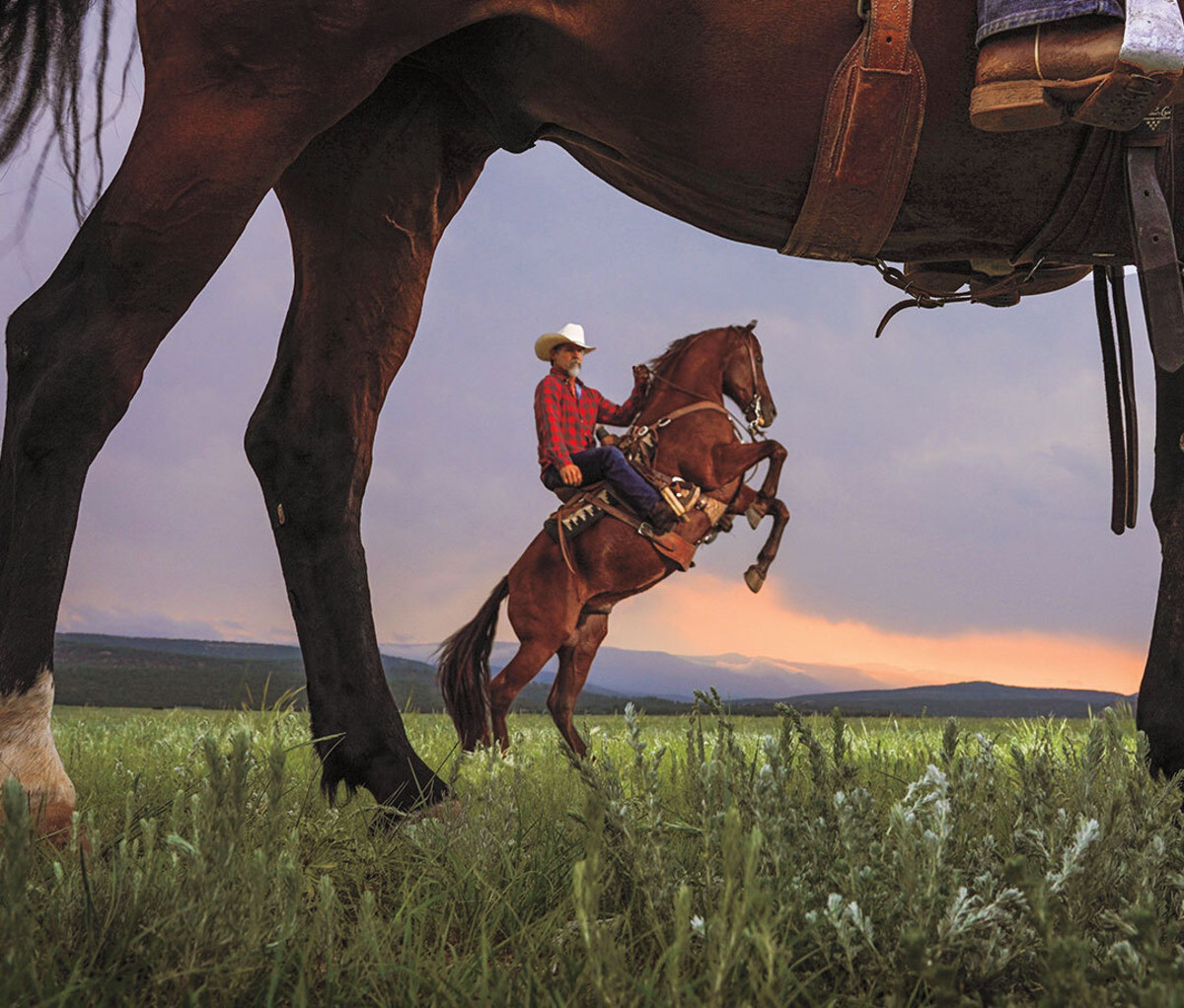 Actor Josh Brolin on bucking horse