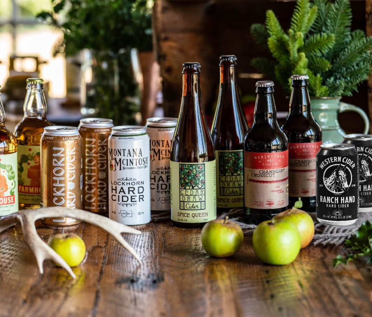 Row of ciders on a table from Northwest Cider Club's Discover Cider Club