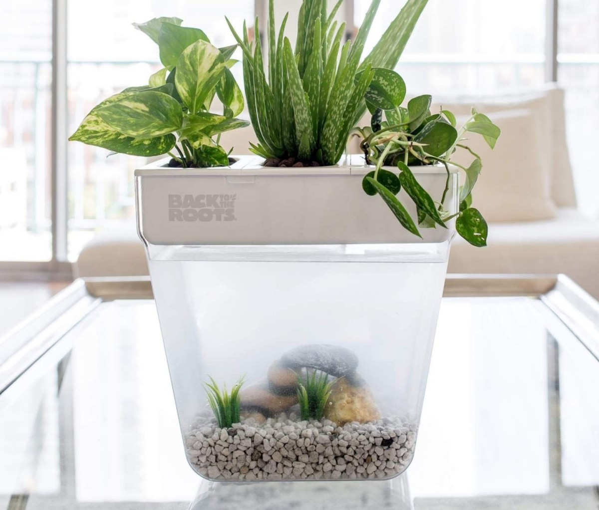 Indoor planters Back to the Roots Water Garden Duo indoor planter on a glass table