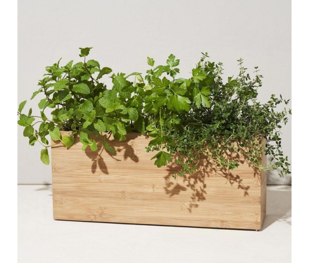 The Modern Sprout Smart Hydroplanter