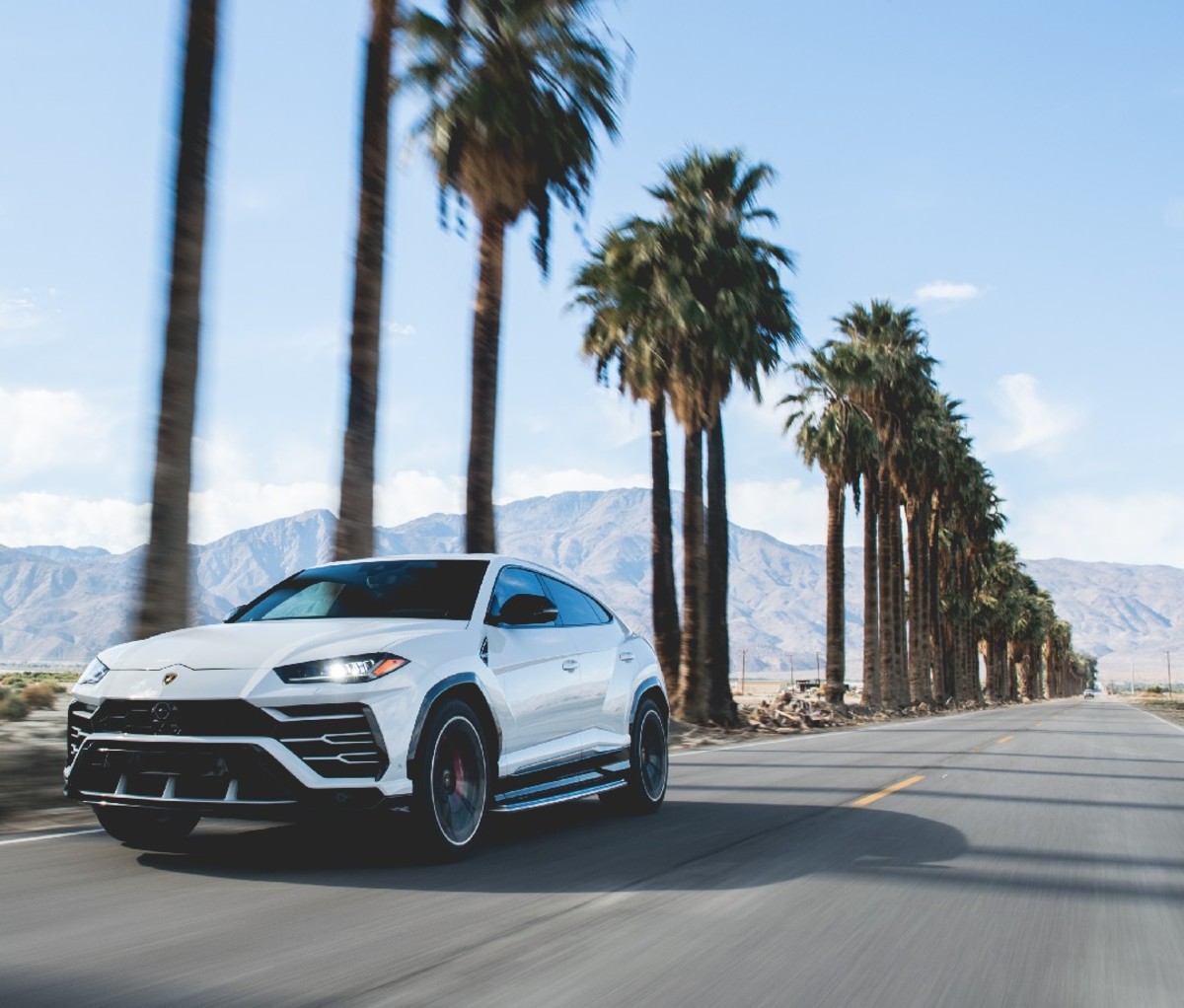 White 2021 Lamborghini Urus driving on a desert highway with a row of tall palm trees in the background