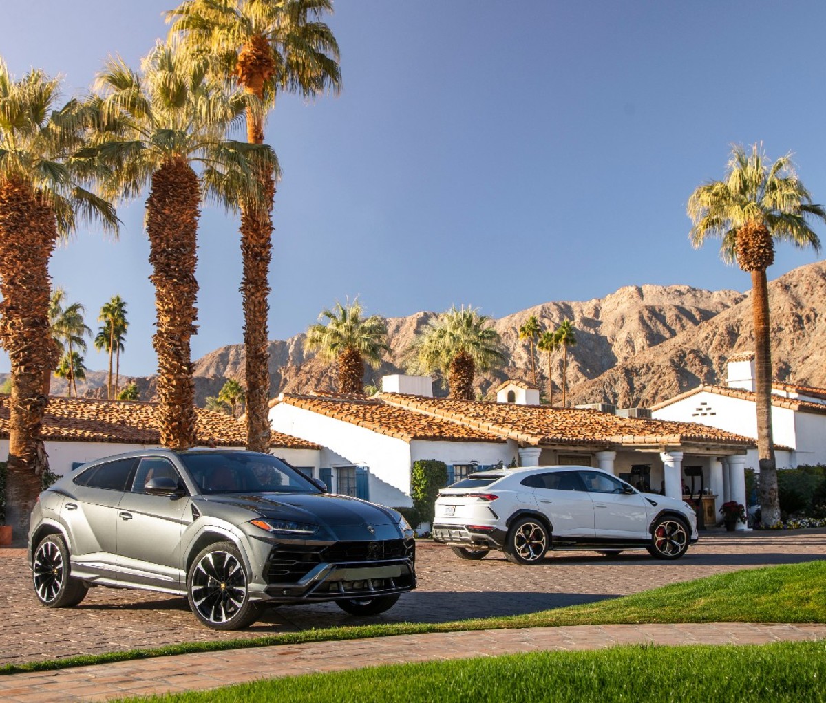 Black and white 2021 Lamborghini Urus parked in a driveway with palm-lined, Spanish-style home in the background