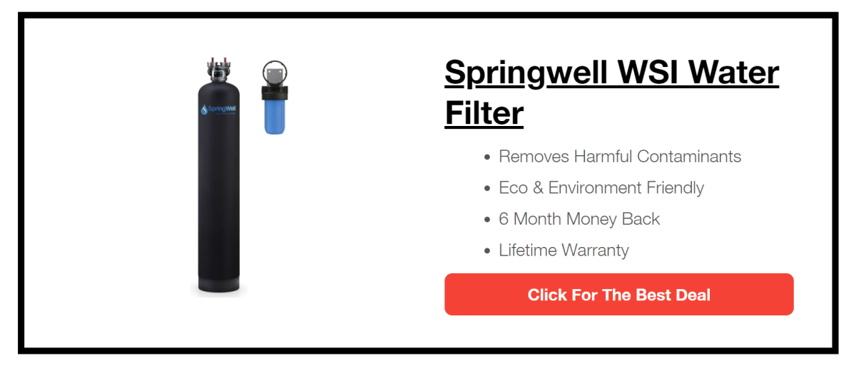 Springwell WSI Whole House Well Water Filter System