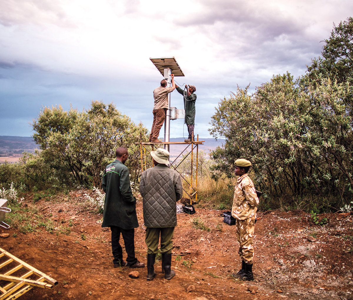 Rangers setting up solar-powered camera systems