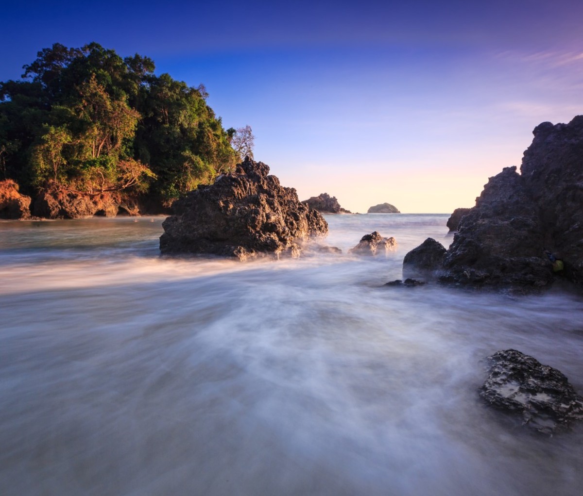 Forested beach at sunset