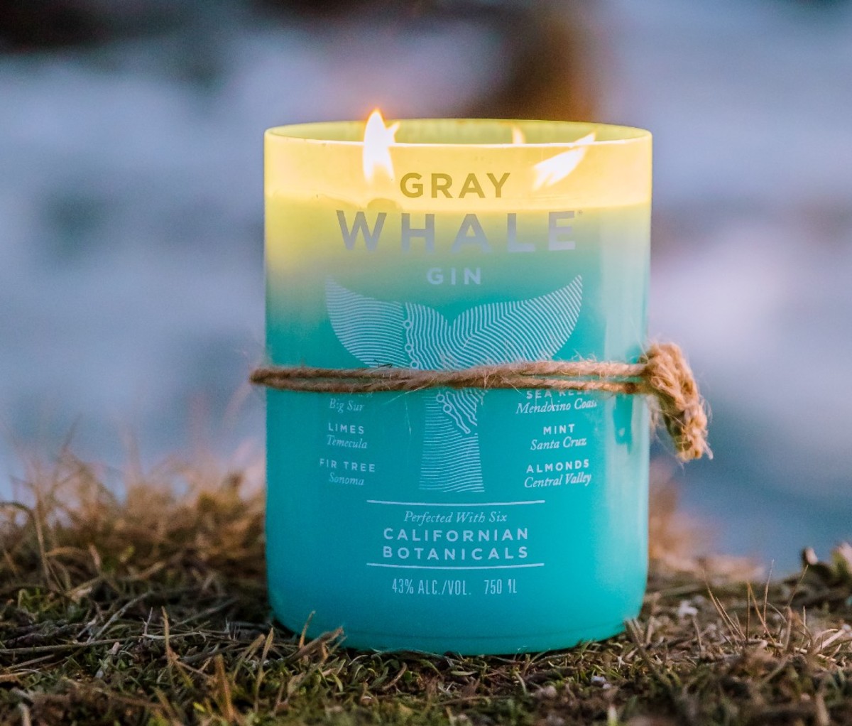 Gray Whale Gin Gray Whale Soy Candle