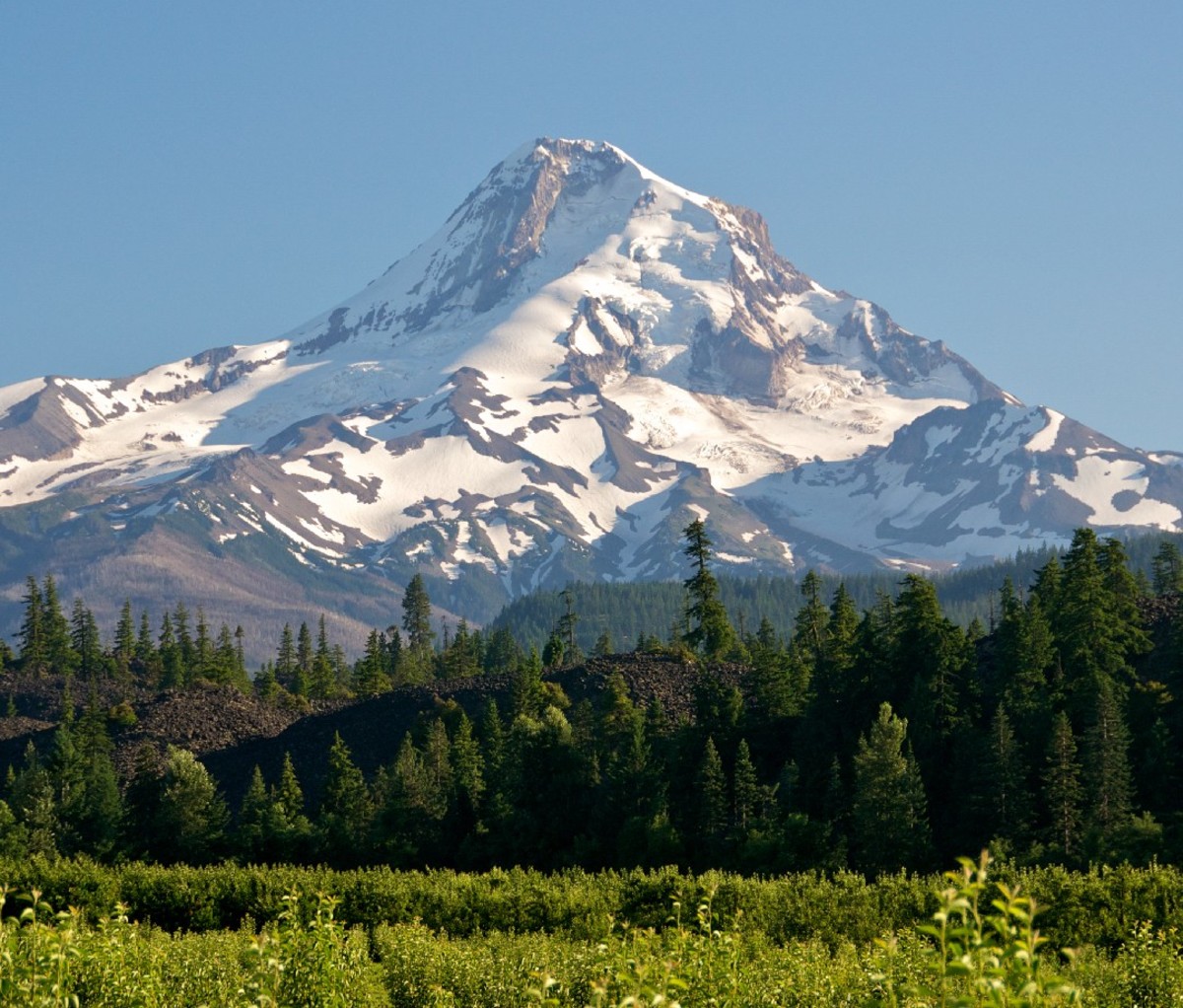 Mount Hood and vineyards