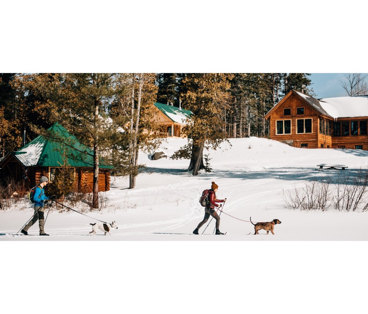 Man and woman walking dogs in snow with cabin in background