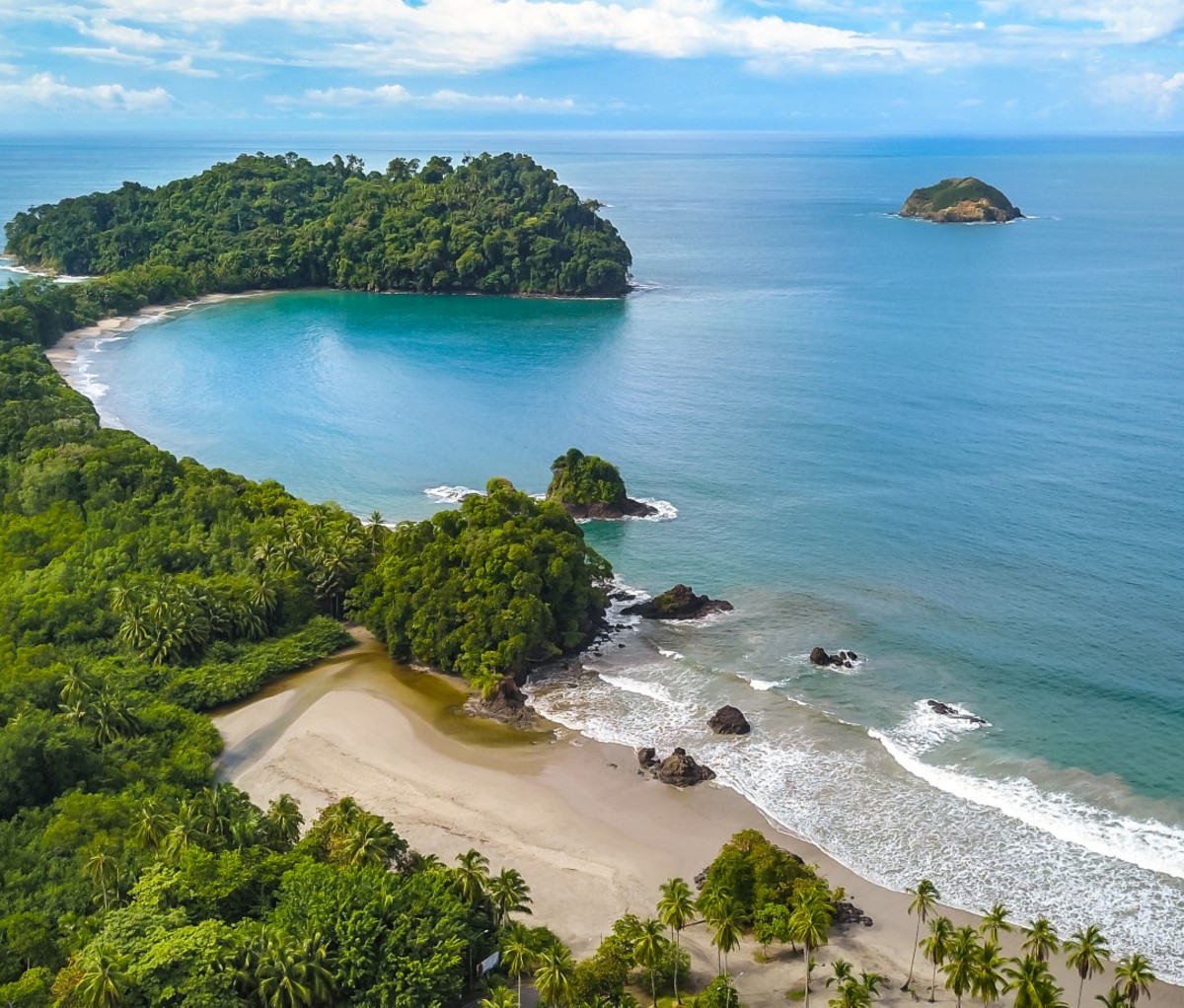 Aerial view of jungle and beach