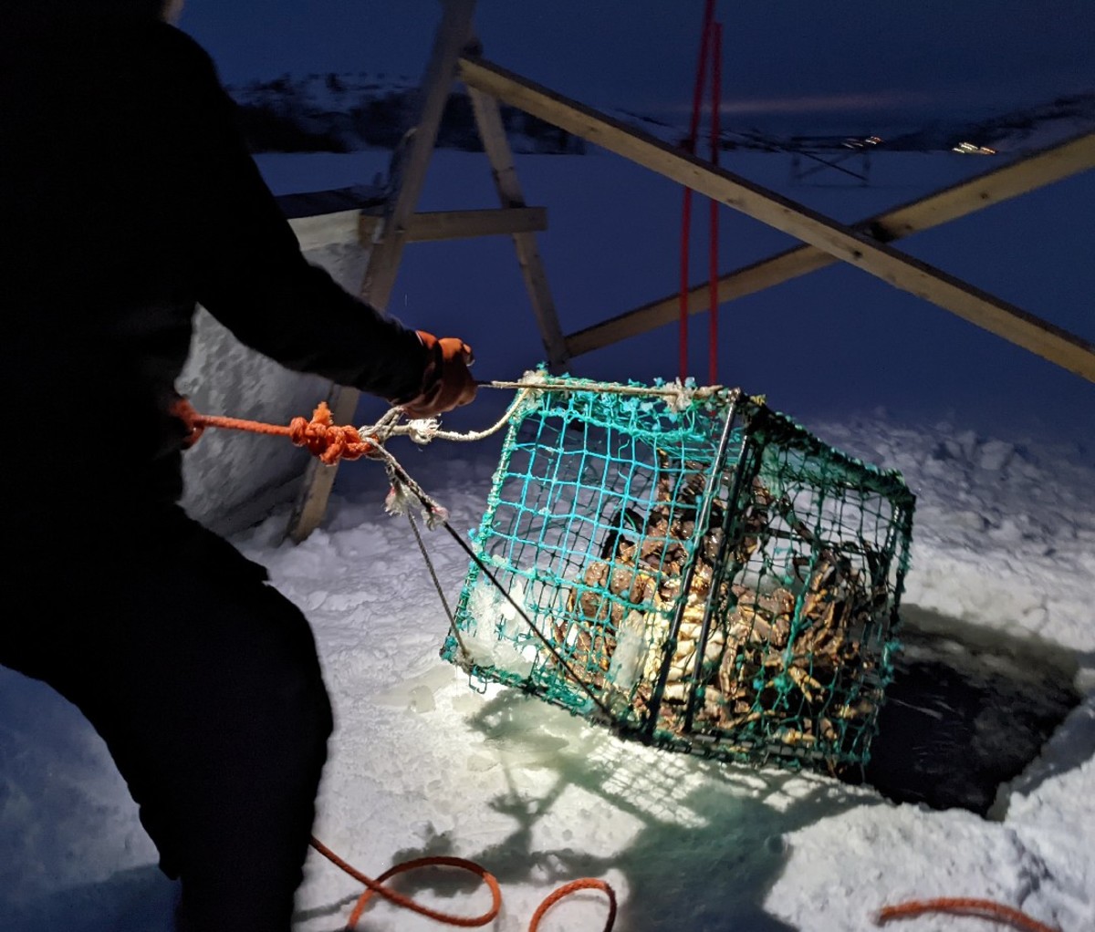 A diver in a wetsuit handles a king crab crate on the ocean floor