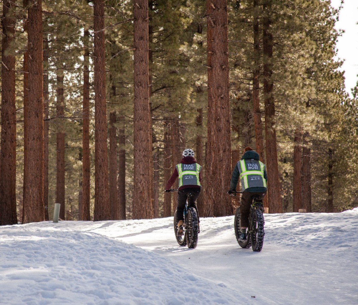 Two trail hosts on fat bikes cycle along a snowy, pine forested trail near Mammoth Lakes, Caliofrnia