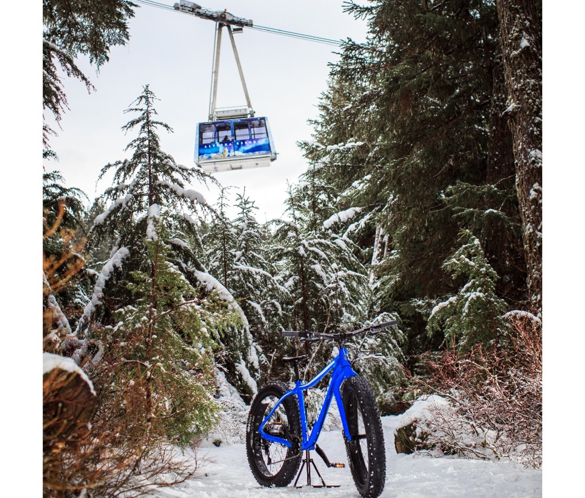 Mountain bike standing in a snowy forested area with a ski tram in the background