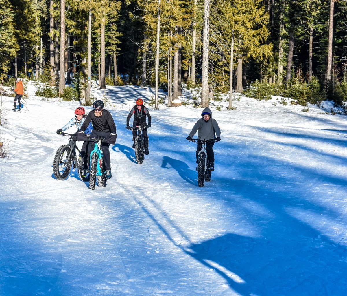 Family on fat bikes on a snowy, pine-forested trail in northwestern Washington.