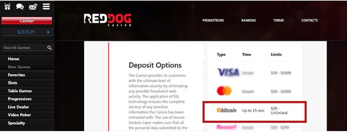 Red Dog Casino