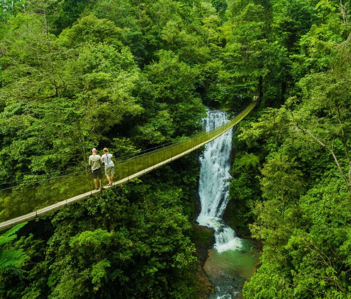 Couple on bridge looking at waterfall in jungle
