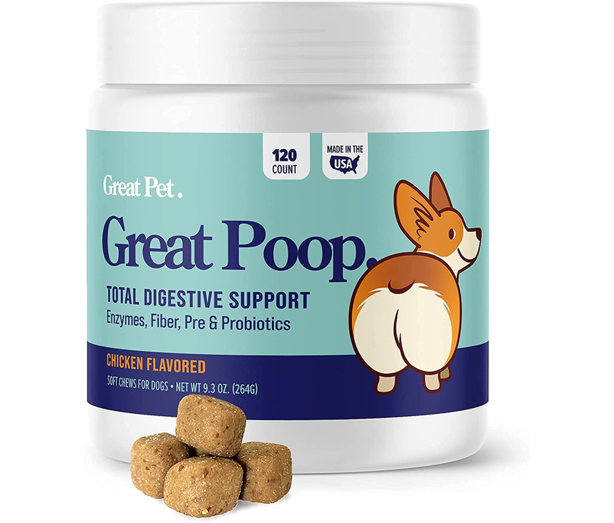 Great Poop Probiotics for Dogs