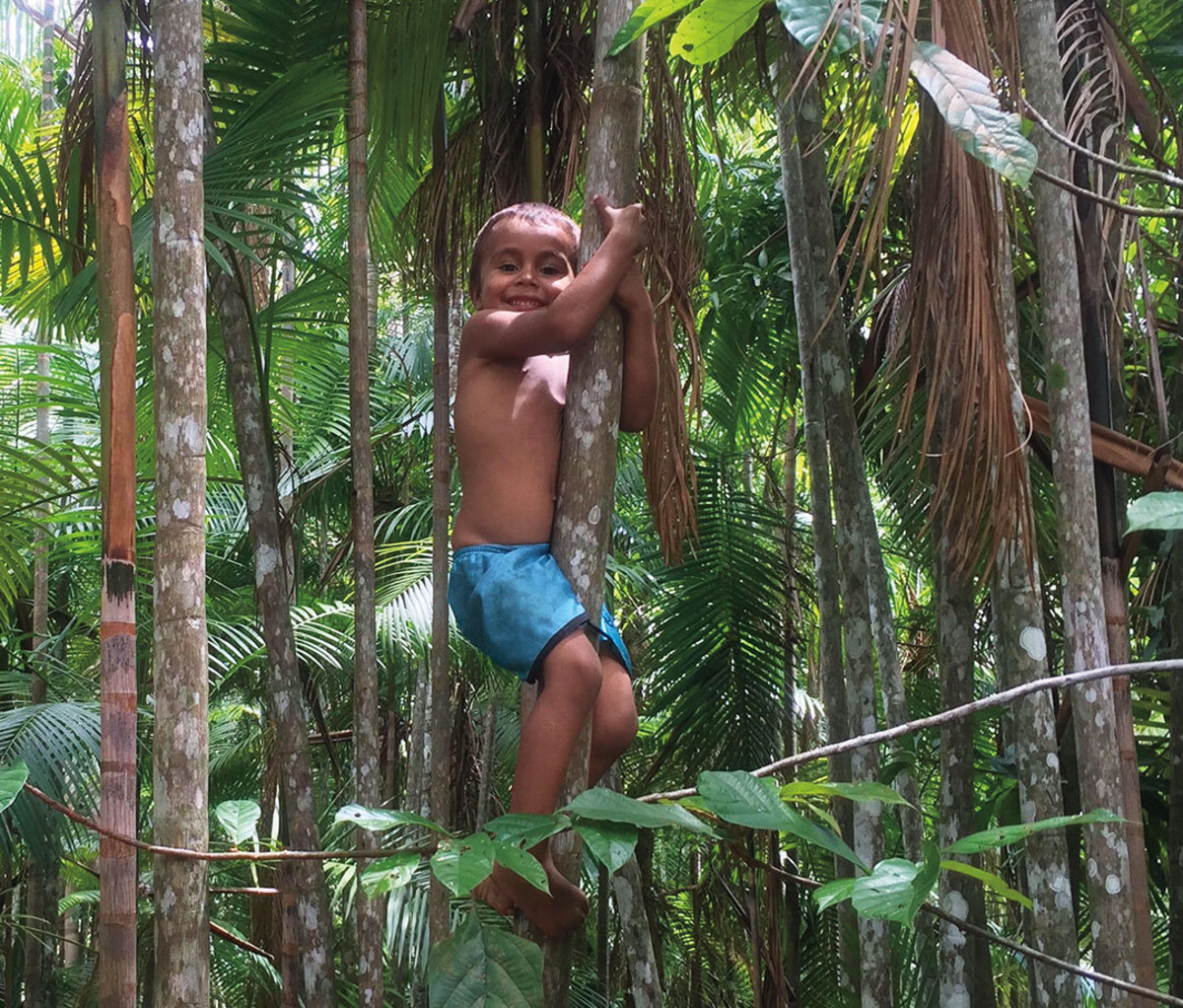 Young boy in blue shorts climbing tree