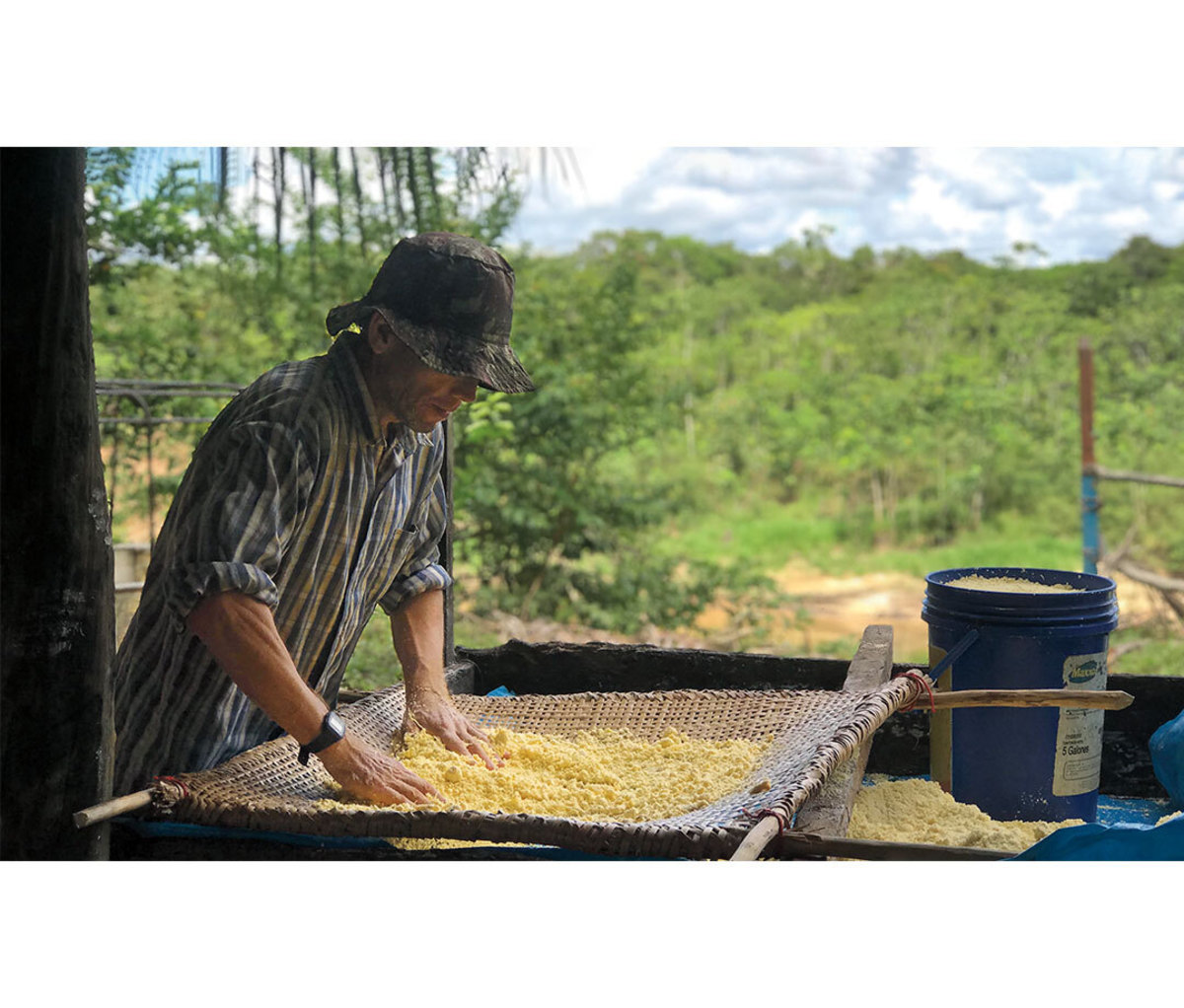 Man farming farro