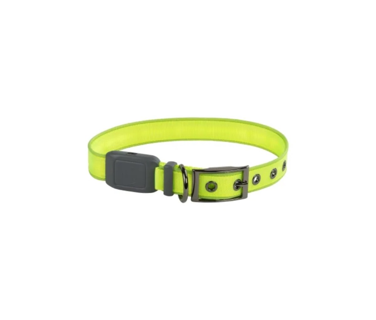 Keep close tabs on your dog in the dark with the Nite Ice LED Dog Collar.