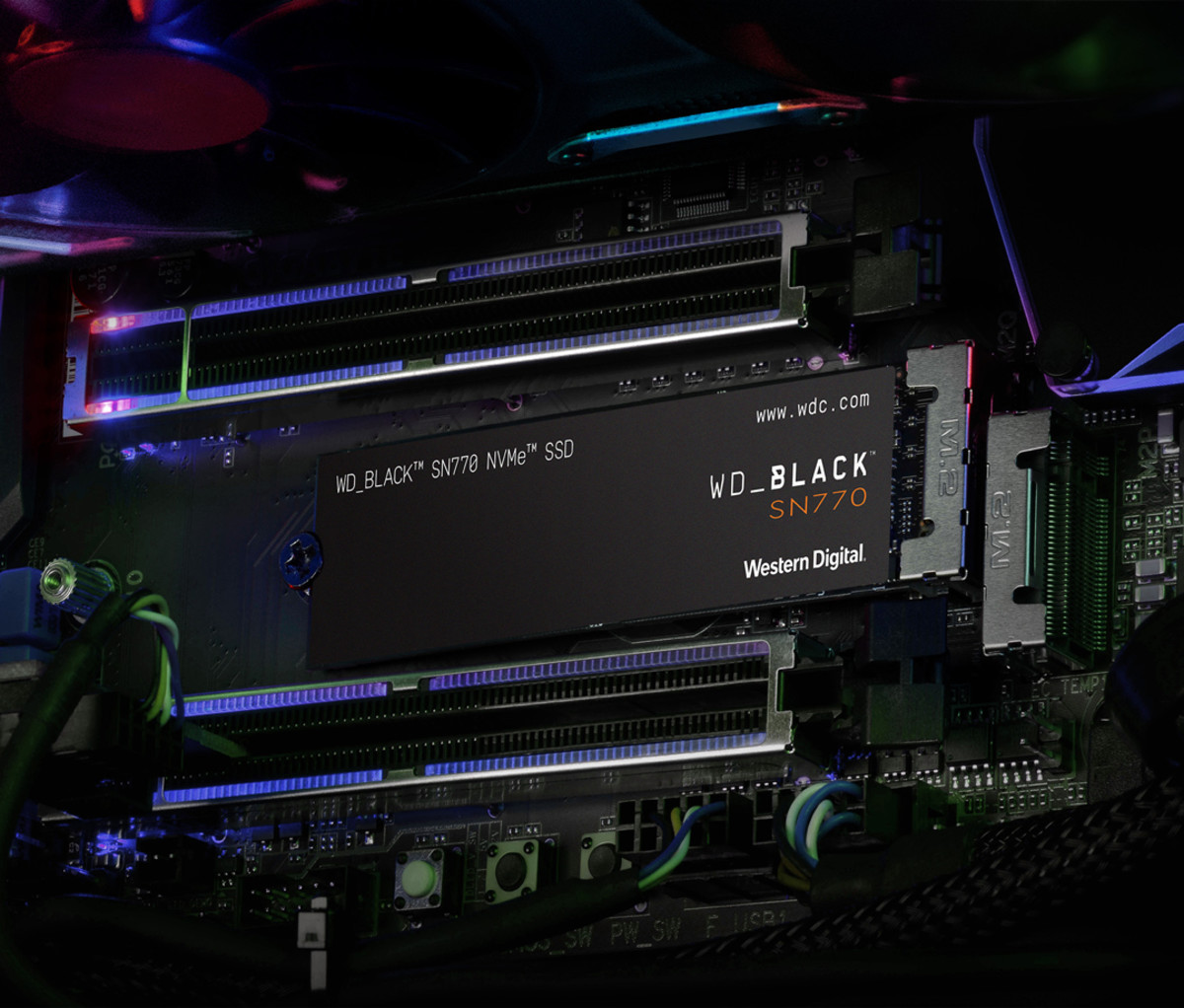 Western Digital