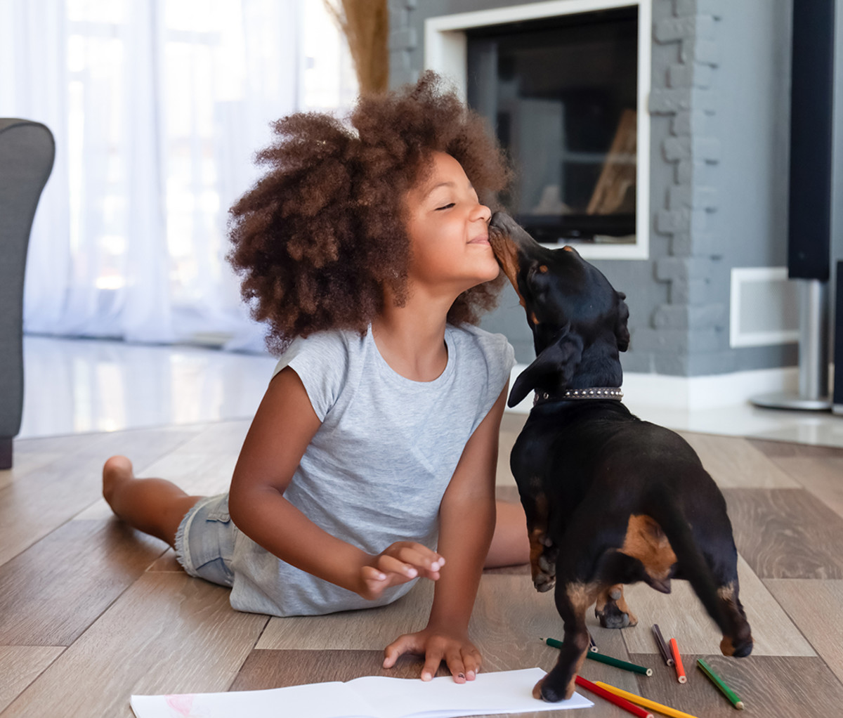 Spot Pet Insurance