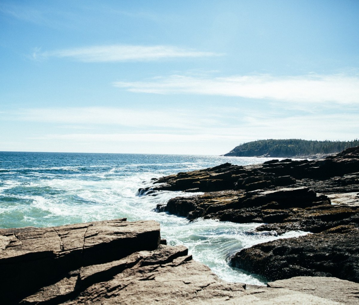 The shore of Acadia National Park