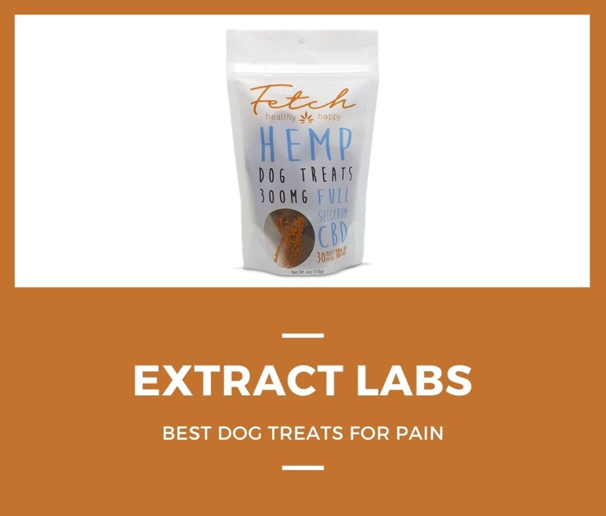9. Extract Labs