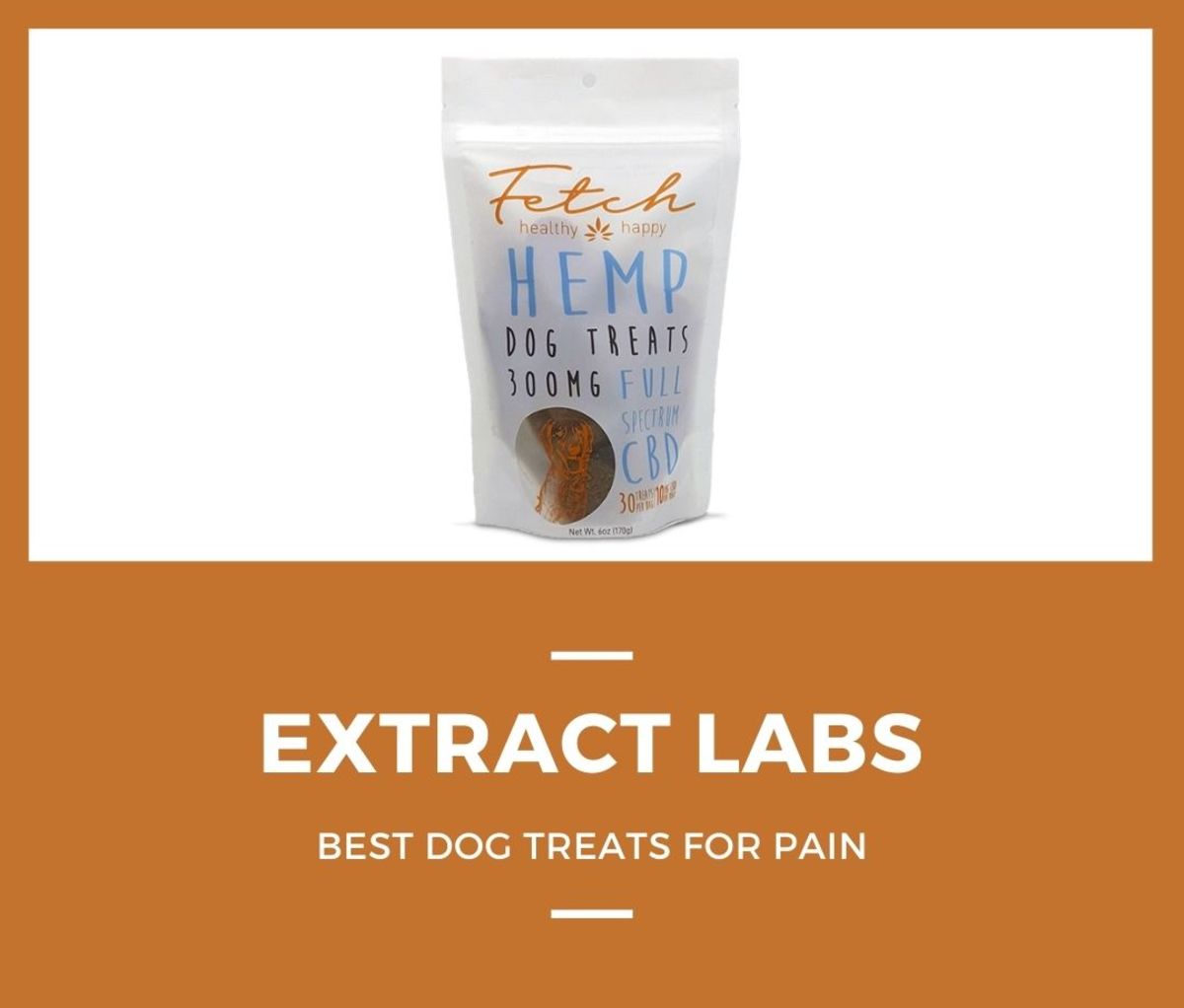 9. Extract Labs