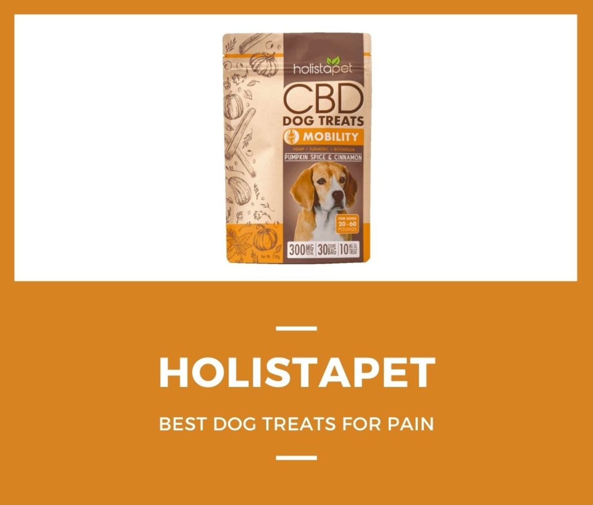 HolistaPet