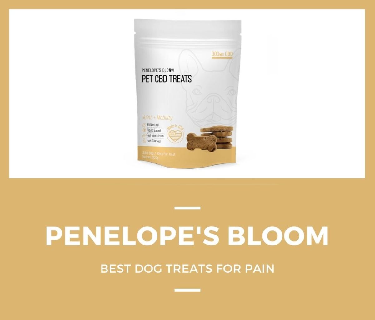 3. Penelope’s Bloom