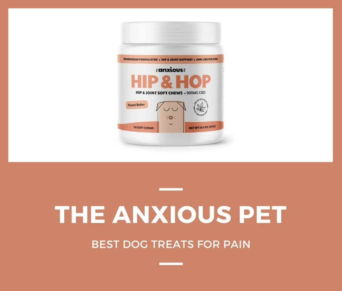 6. The Anxious Pet