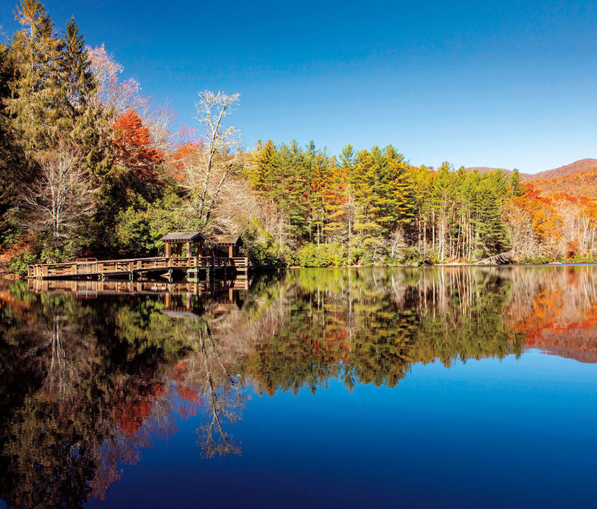 Trees with fall foliage near lake