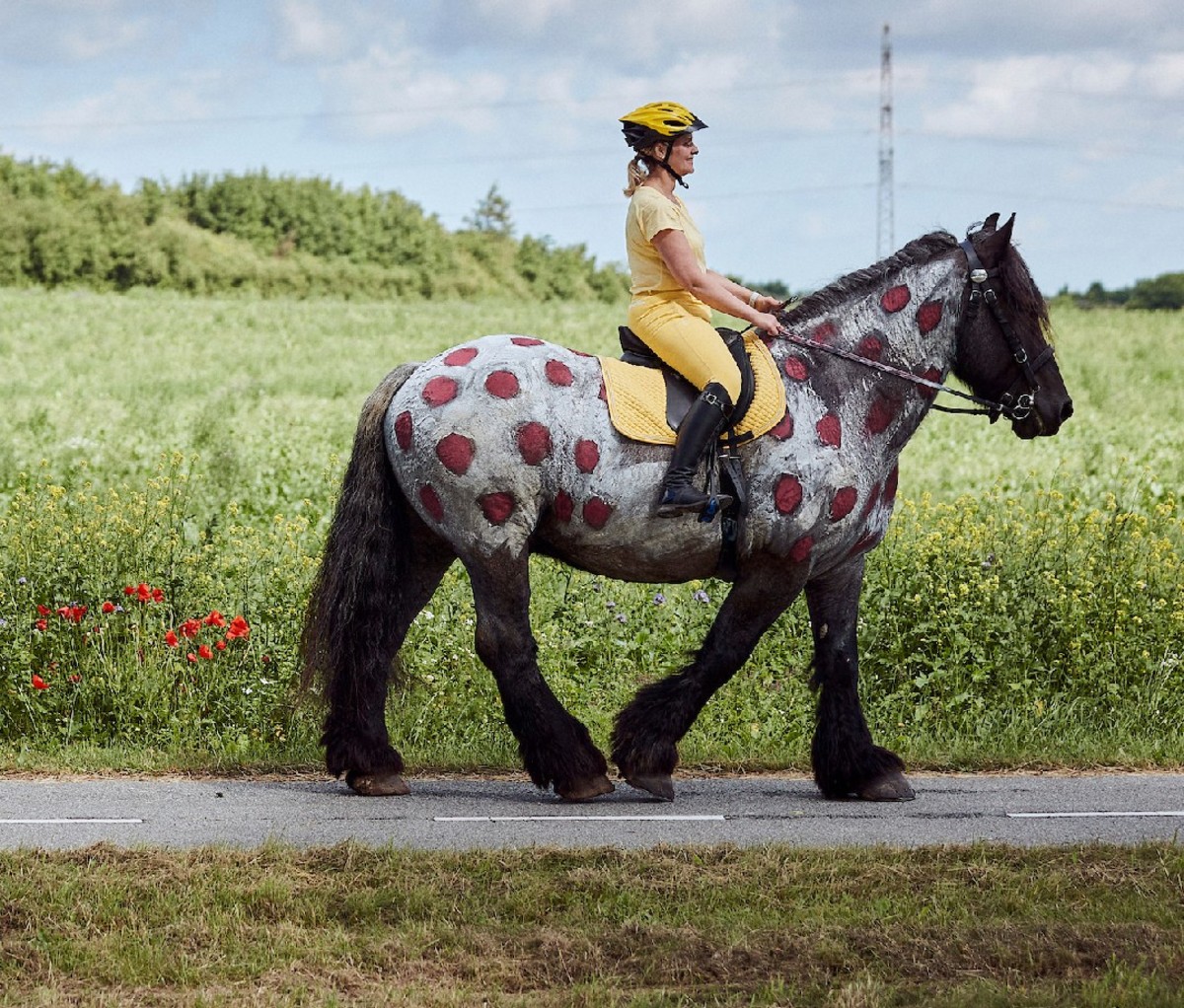 Danish woman in a yellow jersey rides a polka dotted horse in Danish countryside
