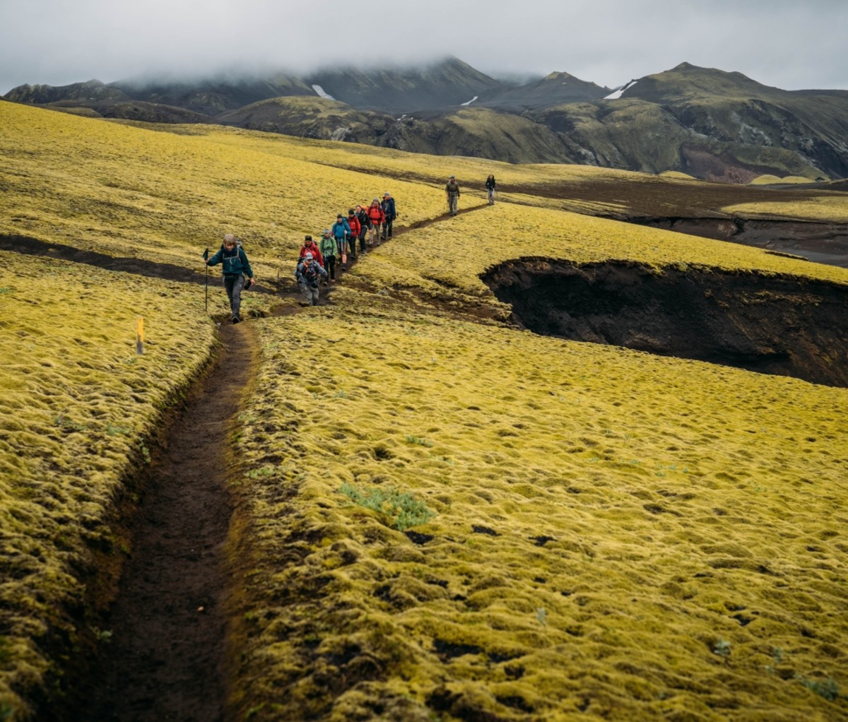 Group of people hiking along a trail through mossy ground on a 57hours trip in Iceland.