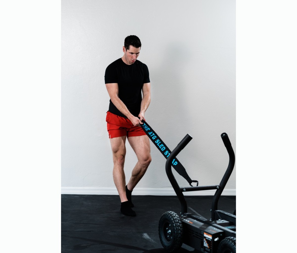 Backward sled pull