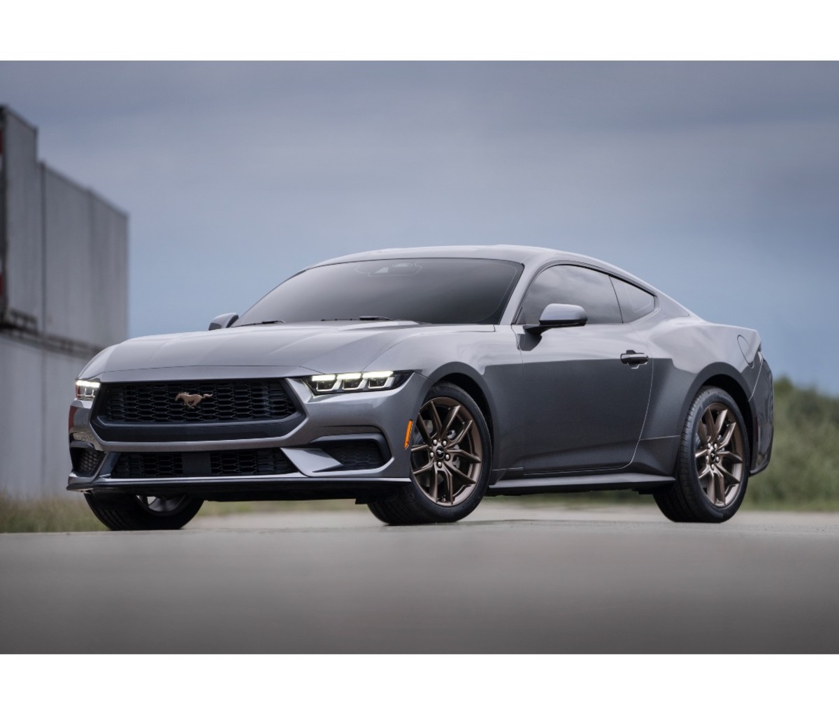 four star fitness mustang