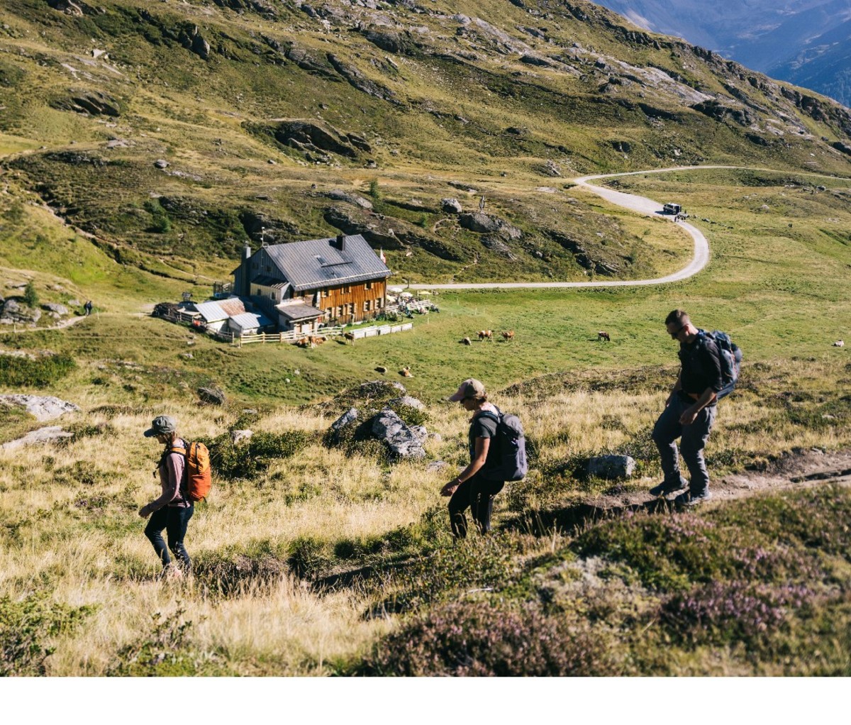 Hikers walking along the trail on Austria's Eagle Way