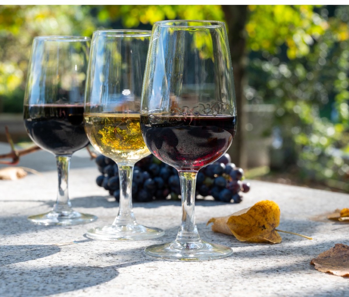 Outdoor table with a selection of three different port wines by the glass.