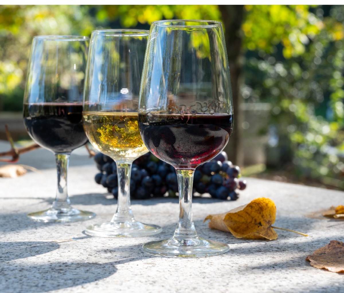 Outdoor table with selection of three different port wines in glasses.