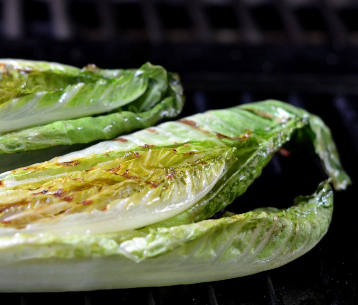 Grilled romaine lettuce