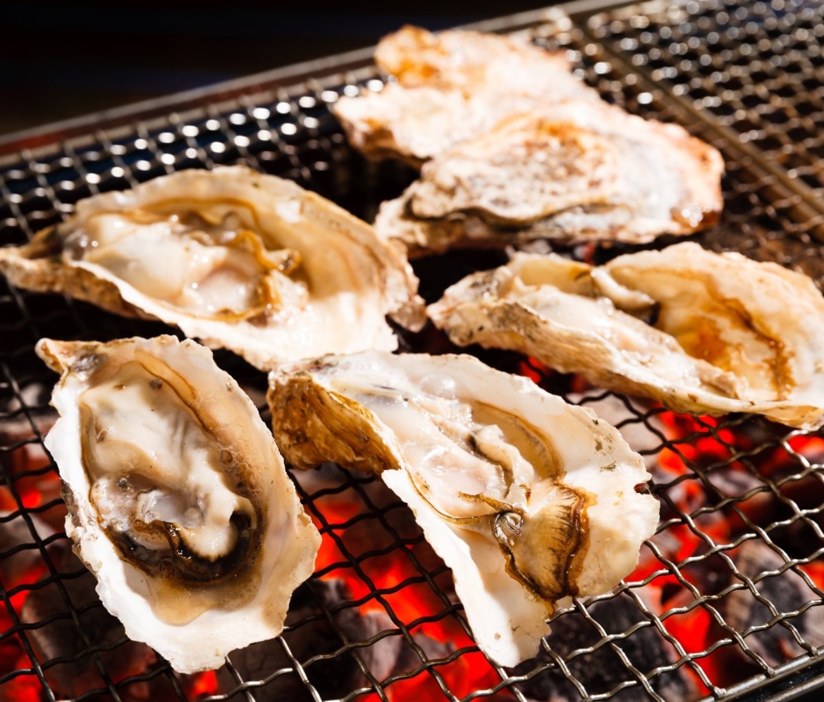 Oysters on a grill: Grilling Beyond Burgers, Steaks, and Chicken